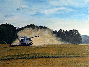 Harvest Time